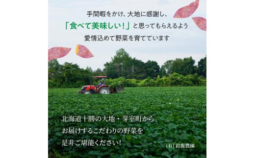 【先行予約】【2024年11月下旬より配送】北海道十勝芽室町産 有機JAS認証 鈴鹿農園のさつまいも 紅はるか 5kg（土付き）me049-001c-24