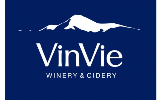 VI08-24F VinVie 白ワイン シャルドネ 樽熟成 750ml //長野県 南信州 日本ワイン 白ワイン シャルドネ フレンチオーク 樽熟成 