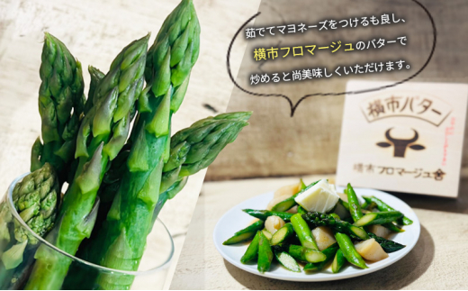 【2025年発送】アスパラ 横市ヨーグルト栽培 500g MLサイズ混合 横市フロマージュ舎 野菜 アスパラガス グリーンアスパラ 旬 とれたて お取り寄せ 産地直送 小分け 保存 芦別市 北海道 送料無料 [№5342-0316]