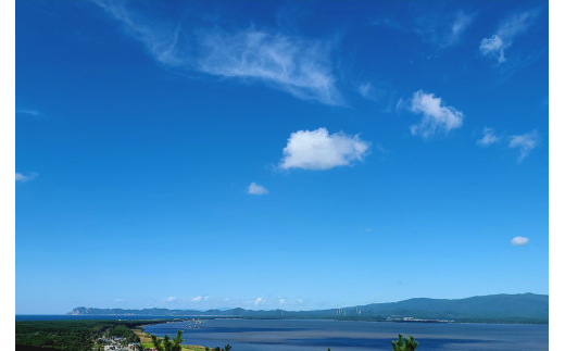 [令和7年3月第2日曜日配達] さとうしじみ屋の十三湖産活しじみ(中粒2kg)[冷蔵]｜十三湖産 青森 津軽 つがる しじみ みそ汁 味噌汁 しじみ汁 活しじみ 冷蔵 [0588]