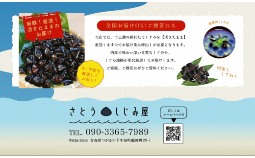 [令和7年3月第2日曜日配達] さとうしじみ屋の十三湖産活しじみ(中粒2kg)[冷蔵]｜十三湖産 青森 津軽 つがる しじみ みそ汁 味噌汁 しじみ汁 活しじみ 冷蔵 [0588]