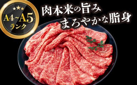 【全3回定期便】【厳選部位】【A4～A5】長崎和牛サーロインしゃぶしゃぶすき焼き用　300g【株式会社 MEAT PLUS】 [DBS094]