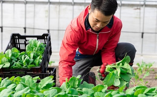 熟練農家が丹精込めた京丹波産の野菜をぜひ一度、お試しください！