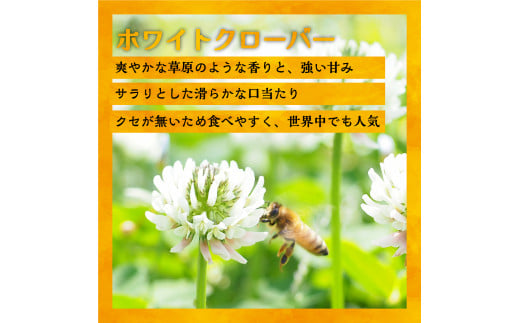 【ホワイトクローバー】クローバーの白い小さな花から採れたはちみつです。クセのない優しい甘さと上品な味わいが特徴です。