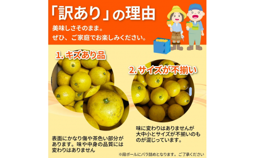 先行予約 訳あり 小夏5キロ （白浜農園の減農薬小夏）～訳ありには、訳がある～柑橘 みかん ミカン 果物 フルーツ 日向夏 おやつ デザート 美味しい ワケアリ ご自宅用【R01153】