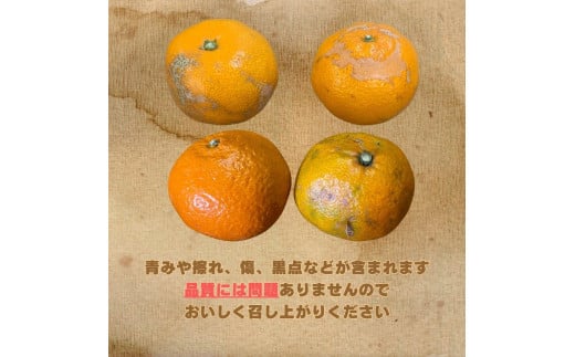 【訳あり】和歌山みかん 約9.5kg+補償分約500g サイズ混合 11月より順次発送 訳ありみかん 【red1】