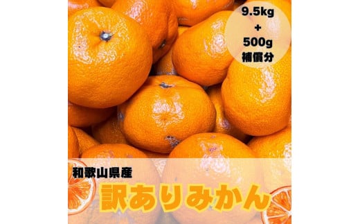 【訳あり】和歌山みかん 約9.5kg+補償分約500g サイズ混合 11月より順次発送 訳ありみかん 【red1】