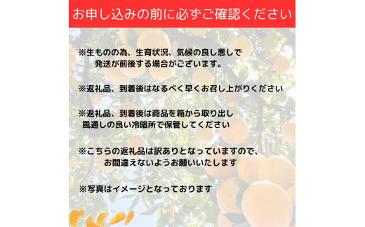 【訳あり】和歌山みかん 約9.5kg+補償分約500g サイズ混合 11月より順次発送 訳ありみかん 【red1】