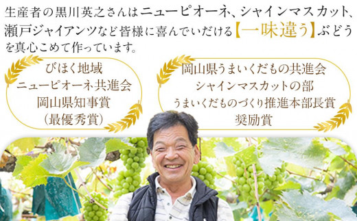 黒川農園 瀬戸ジャイアンツ1房とシャインマスカット1房（1房700g以上） 