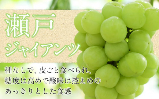 黒川農園 瀬戸ジャイアンツ1房とシャインマスカット1房（1房700g以上） 