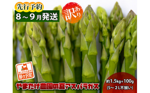 【先行予約2024年産】やまたけ農園の夏アスパラガス！約1.5kg+100g（S～2L不揃い）【訳あり】【8月～9月発送】青森県鰺ヶ沢町産