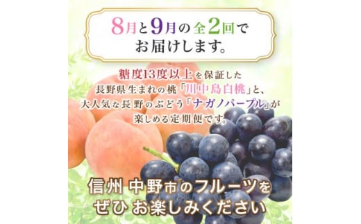 ＜発送月固定定期便＞JA中野市　糖度13度保証の桃2.1kg以上とナガノパープル800g以上全2回【4051564】