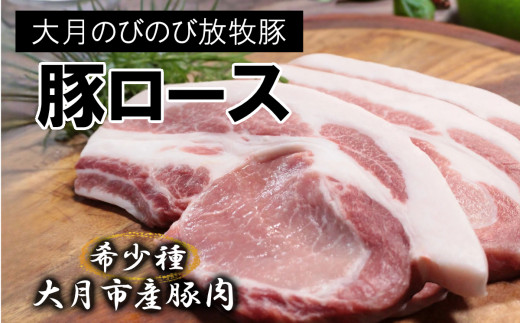 【希少豚】大月のびのび放牧豚【カツ・ステーキ用ロース】750g 以上(約150g×5)