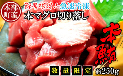 【数量限定】　本部町産　本マグロ切り落し　約250g