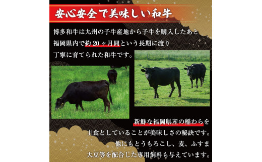 訳あり！博多和牛しゃぶしゃぶすき焼き用(肩ロース肉・肩バラ肉・モモ肉)500g [a0081] 株式会社Meat Plus ※配送不可：離島【返礼品】添田町 ふるさと納税