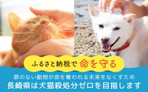 【お礼の品なし】犬猫殺処分ゼロプロジェクト＜500,000円＞長崎県ふるさと納税[42ZZAE008]長崎 長崎の変 動物 犬 猫 いぬ ねこ イヌ ネコ 保護犬 保護猫 支援 応援 チョイス限定 動物愛護 保護 どうぶつ 地域猫 寄付のみ