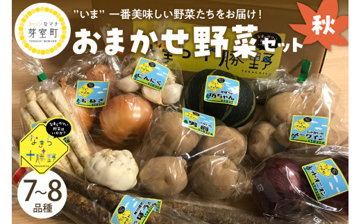 【10月より配送】北海道十勝芽室町 なまら十勝野の季節のおまかせ野菜セット（秋） me001-004c