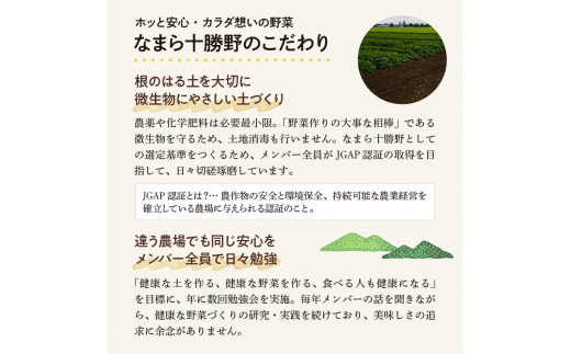 【10月より配送】北海道十勝芽室町 なまら十勝野の季節のおまかせ野菜セット（秋） me001-004c