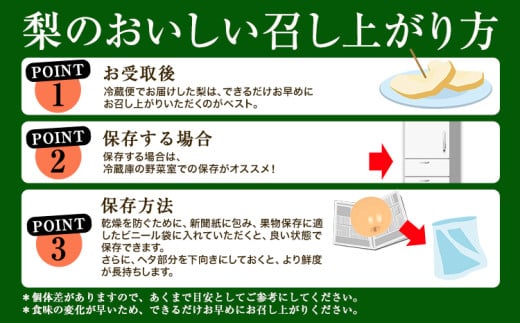 【2025年先行予約】 梨 なし 贈答用 荒尾ジャンボ梨（新高）2玉入り 約1.5kg 秋 旬 熊本県 荒尾市産 高口果樹園《2025年10月上旬-10月下旬頃出荷》フルーツ 果物 ギフト 化粧箱 専用BOX付き 冷蔵