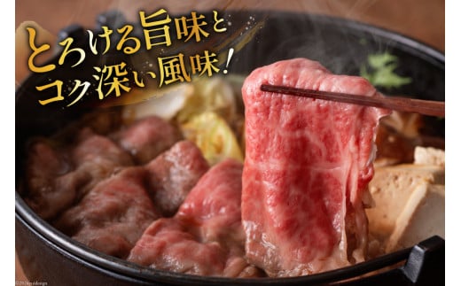 牛肉 定期便 宮崎牛スライスセット 6ヶ月定期便 [ミヤチク 宮崎県 美郷町 31au0060] 冷凍 スライス 小分け 個包装 牛モモ 牛バラ 牛 牛ロース 牛肩ロース