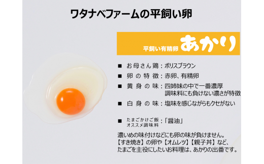 [平飼い有精卵30個×3か月連続定期便] ガツンとインパクトのある濃厚な黄身【平飼い有精卵あかり】｜矢板市産 こだわり卵 たまご 玉子 生卵 鶏卵 [0433]