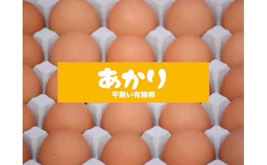 [平飼い有精卵30個×3か月連続定期便] ガツンとインパクトのある濃厚な黄身【平飼い有精卵あかり】｜矢板市産 こだわり卵 たまご 玉子 生卵 鶏卵 [0433]