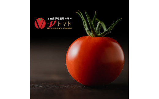 フルーツトマトジュース180ml（V-TOMATOジュース）10本セット【野菜　飲料　高糖度】
※着日指定不可