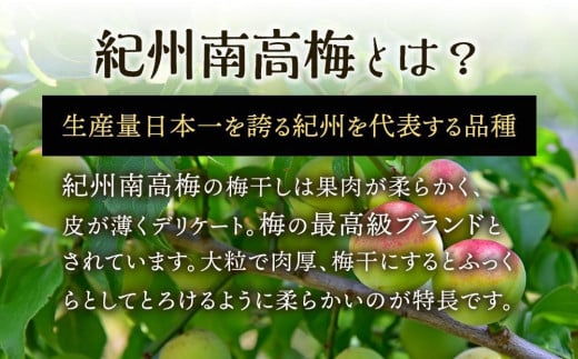 紀州南高梅使用　はちみつうす塩味完熟梅干し 無選別1kg【TM144】