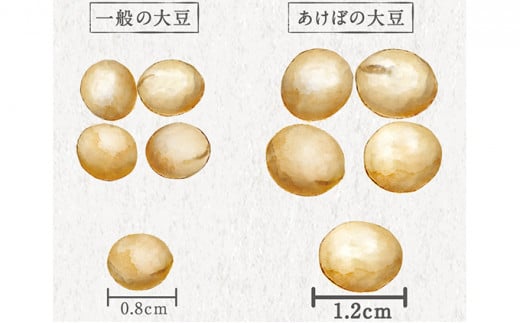 希少価値の高い幻の大豆 あけぼの大豆3点セット [№5530-0108]