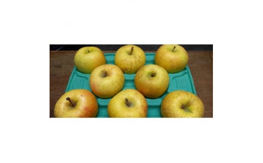 サン金星　家庭用　3kg(8～12個)【1328621】