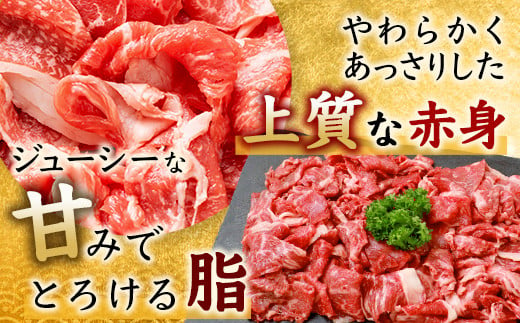 【5月発送】佐賀牛 切り落とし 500g×4【合計2kg】牛肉 肉 佐賀牛 切り落し 切落し 切りおとし E-122