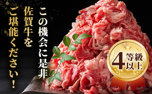 【5月発送】佐賀牛 切り落とし 500g×4【合計2kg】牛肉 肉 佐賀牛 切り落し 切落し 切りおとし E-122