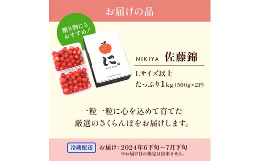 北海道 仁木町産　さくらんぼ 佐藤錦 1kg（500g×2）Lサイズ以上