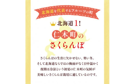 北海道 仁木町産　さくらんぼ 佐藤錦 1kg（500g×2）Lサイズ以上