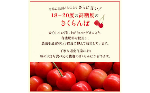 北海道 仁木町産　さくらんぼ 佐藤錦 1kg（500g×2）Lサイズ以上