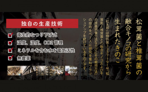 松太郎と松太郎ジャーキー詰め合わせ