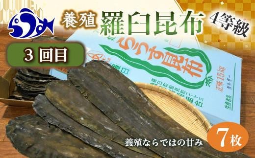 天然３等羅臼昆布10枚セット(600~800g)