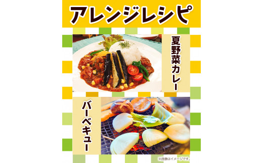 ＜先行予約＞旬の新鮮な 野菜便 7月夏便 8～10品 《2024年7月上旬-8月上旬出荷》アグリサポート美馬 とうもろこし 夏野菜 じゃがいも きゅうり ブルーベリー キャベツ 茄子 玉ねぎ