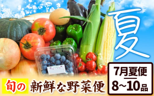 ＜先行予約＞旬の新鮮な 野菜便 7月夏便 8～10品 《2024年7月上旬-8月上旬出荷》アグリサポート美馬 とうもろこし 夏野菜 じゃがいも きゅうり ブルーベリー キャベツ 茄子 玉ねぎ