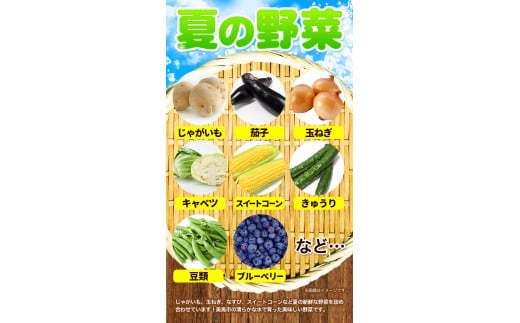 ＜先行予約＞旬の新鮮な 野菜便 7月夏便 8～10品 《2024年7月上旬-8月上旬出荷》アグリサポート美馬 とうもろこし 夏野菜 じゃがいも きゅうり ブルーベリー キャベツ 茄子 玉ねぎ