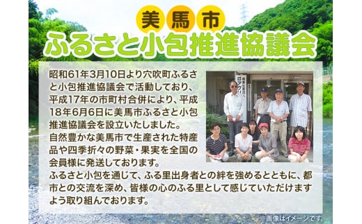 ＜先行予約＞旬の新鮮な 野菜便 7月夏便 8～10品 《2024年7月上旬-8月上旬出荷》アグリサポート美馬 とうもろこし 夏野菜 じゃがいも きゅうり ブルーベリー キャベツ 茄子 玉ねぎ