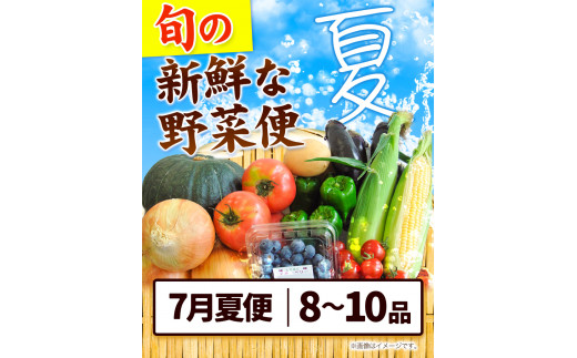 ＜先行予約＞旬の新鮮な 野菜便 7月夏便 8～10品 《2024年7月上旬-8月上旬出荷》アグリサポート美馬 とうもろこし 夏野菜 じゃがいも きゅうり ブルーベリー キャベツ 茄子 玉ねぎ