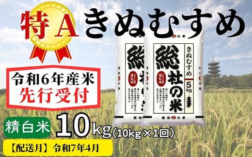 【令和6年産】特Aきぬむすめ【精白米】10kg 岡山県総社市産米〔令和7年4月配送〕24-011-018