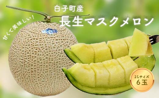 甘くて美味しい長生(ながいき)マスクメロン！