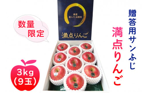 [贈答用] サンふじ「満点りんご」3kg (9玉)【数量限定】｜青森産 つがる 津軽 リンゴ 林檎 果物 フルーツ サンフジ 厳選りんご 2024年 令和6年 ふじ 青森りんご りんご 贈答 ギフト 贈り物 [0725]