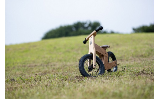 HideЯ Bike（ハイダーバイク・和柄紋様あり）HB-001-W