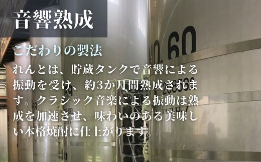 黒糖焼酎れんと25度　四合瓶（箱入り）　720ml×48本