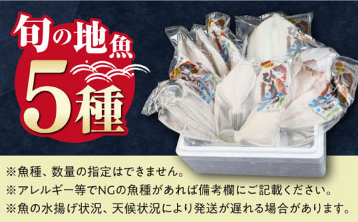 対馬産 旬の地魚 干物 5種 セット《対馬市》【対海】冷凍 肉厚 新鮮 直送 旬 海鮮 ひもの 朝食 イカ サバ [WAH024]