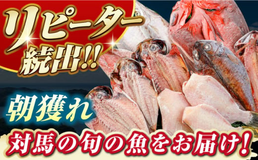 対馬産 旬の地魚 干物 5種 セット《対馬市》【対海】冷凍 肉厚 新鮮 直送 旬 海鮮 ひもの 朝食 イカ サバ [WAH024]