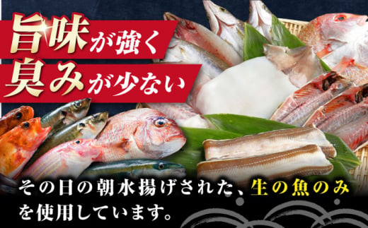 対馬産 旬の地魚 干物 5種 セット《対馬市》【対海】冷凍 肉厚 新鮮 直送 旬 海鮮 ひもの 朝食 イカ サバ [WAH024]